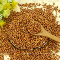 99% Purity Red Sorghum en venta en es.dhgate.com